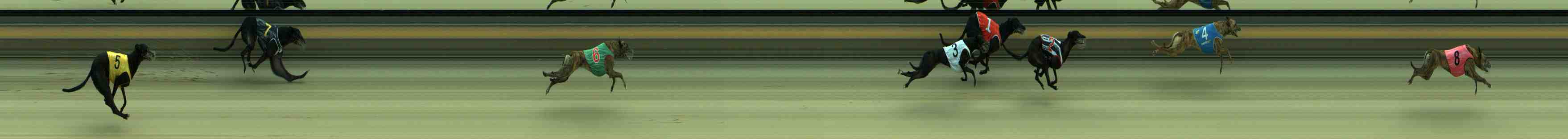 Race result finish photo